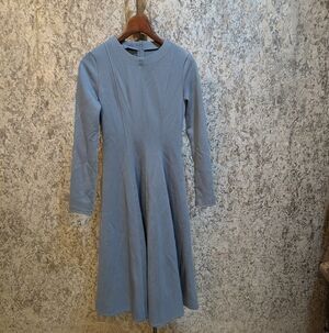 Elegant Long-Sleeve Blue Dress